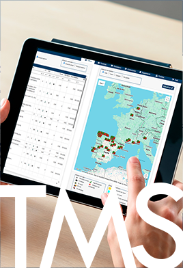  TMS con Inteligencia Artificial